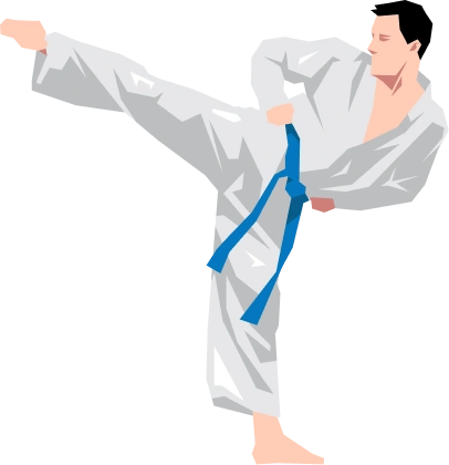 Martial arts fighter captured mid-air while performing a flying kick technique.